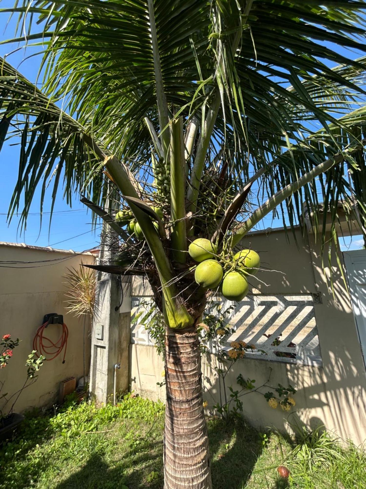 Casa Aconchegante Para Lazer E Descanso Araruama Exteriör bild